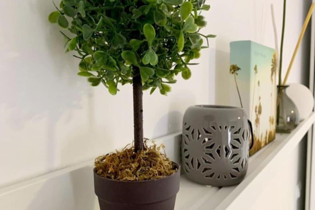 La Casa De Los Tiles Vélez Blanco Dış mekan fotoğraf