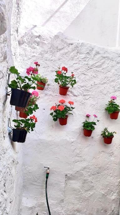La Casa De Los Tiles Vélez Blanco Dış mekan fotoğraf