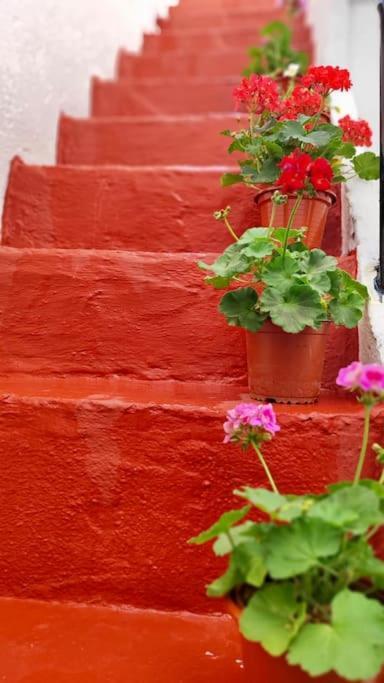 La Casa De Los Tiles Vélez Blanco Dış mekan fotoğraf